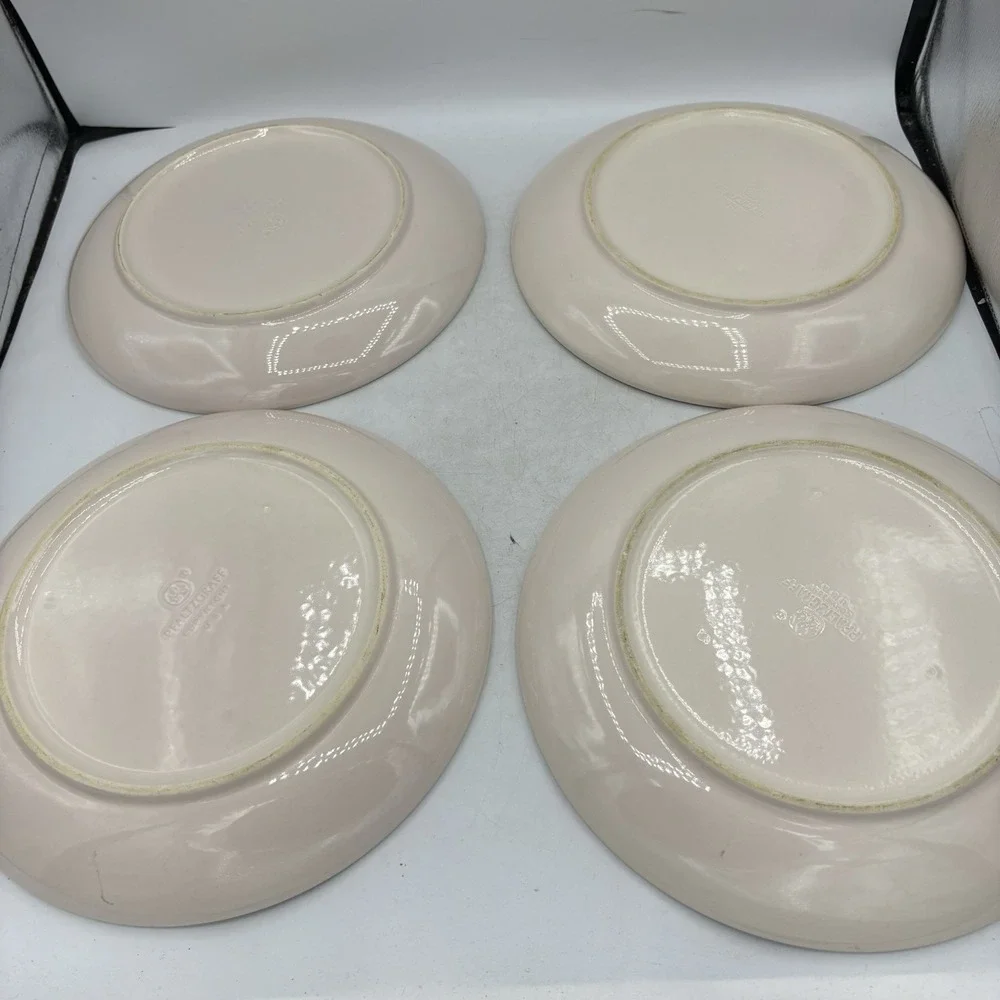 Vintage Pfaltzgraff Dinner Plates 10